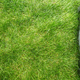 Image for article titled Astronomers Are Furious About the Roomba Lawnmower